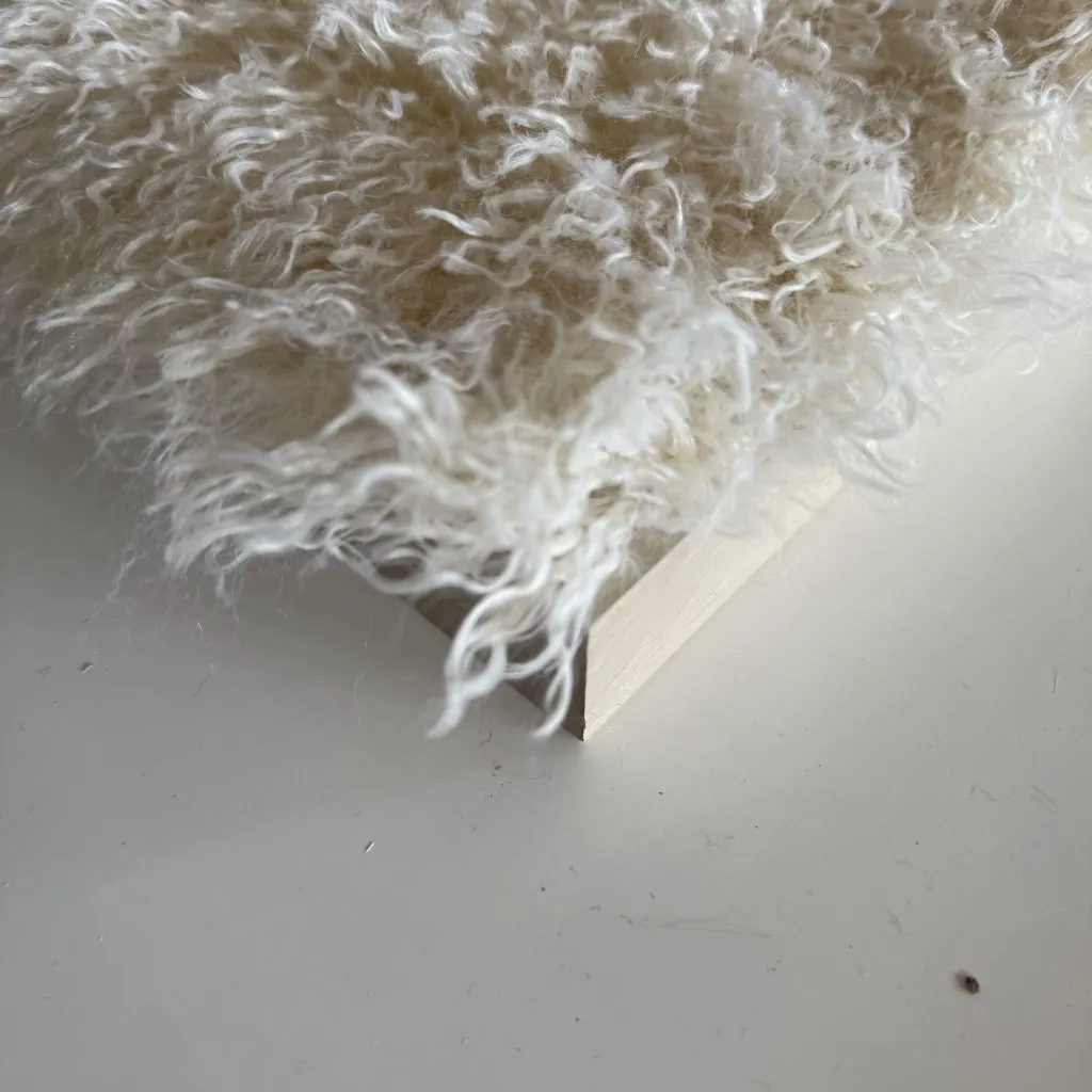 image00001.webp