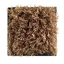 Aquino Camel BB.webp