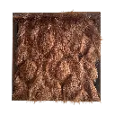 Charmana Bronze BB.webp
