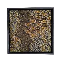 Erice Olive BC.webp