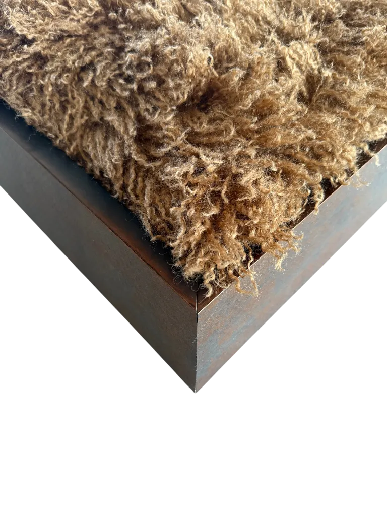 Zijaanzicht Aquino Camel.webp