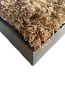Zijaanzicht Aquino Camel.webp