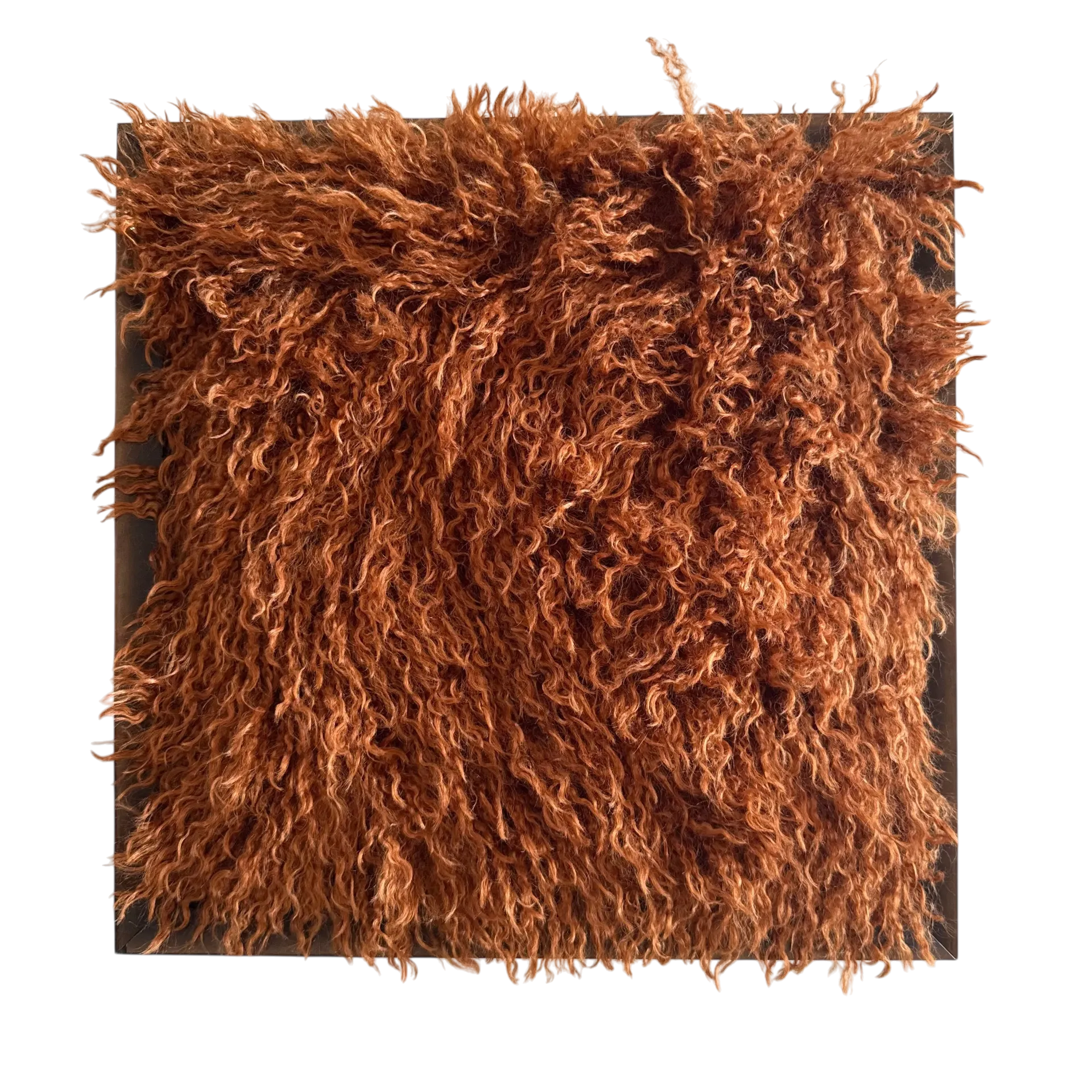 [104556] Wall Art Aquino Rust (Baklijst Bronze, 30x30 cm)